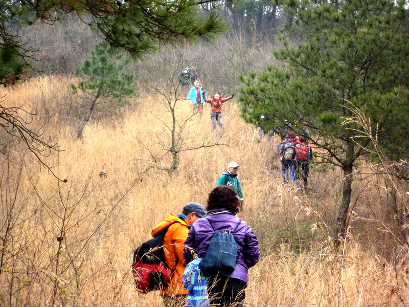 p1020785.jpg