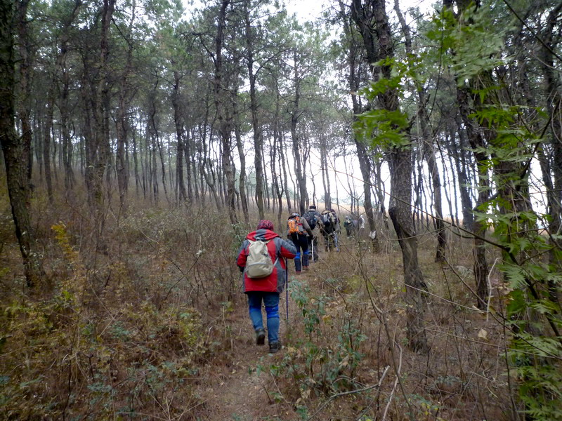 p1020778.jpg