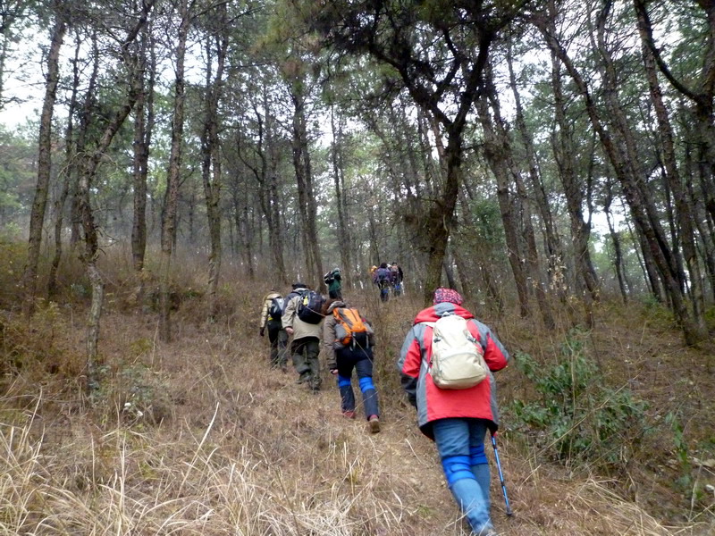 p1020777.jpg
