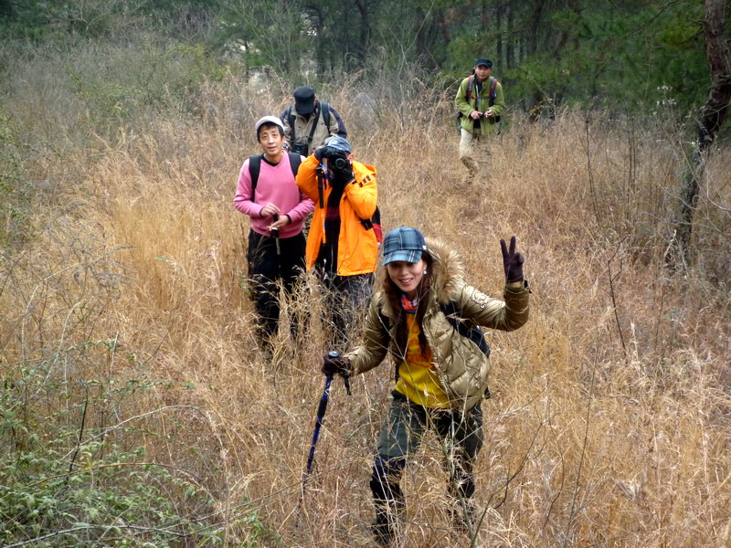 p1020788.jpg