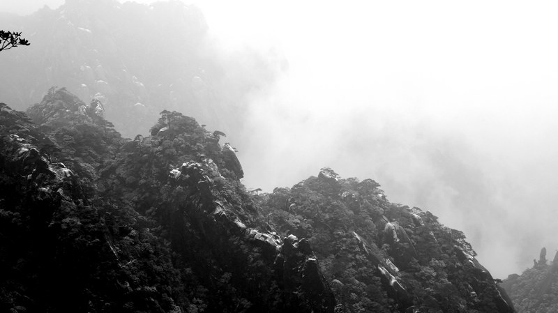 dsc05882---.jpg