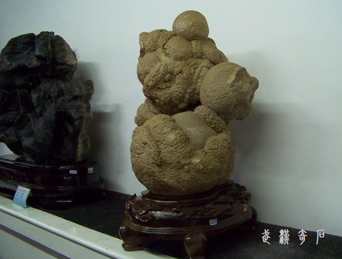 20120103s人ʯ-ʡ (14).jpg
