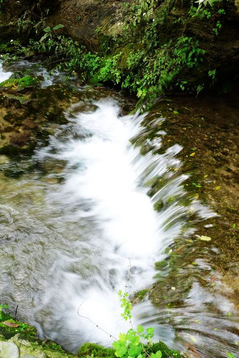 p1070391.jpg