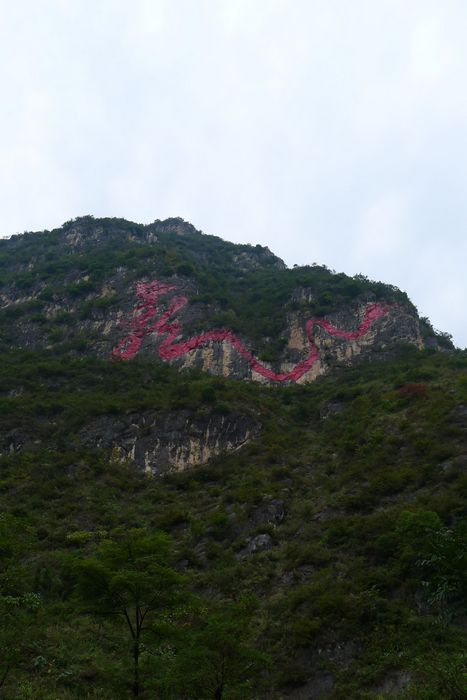 p1070439.jpg