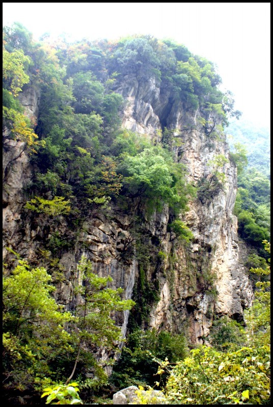 conew_ (115)_conew1.jpg