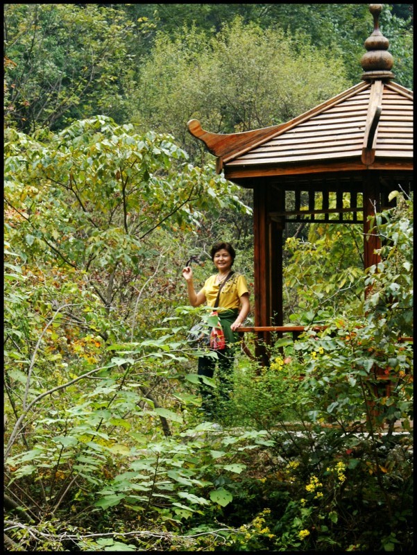 conew_ (167)_conew1.jpg