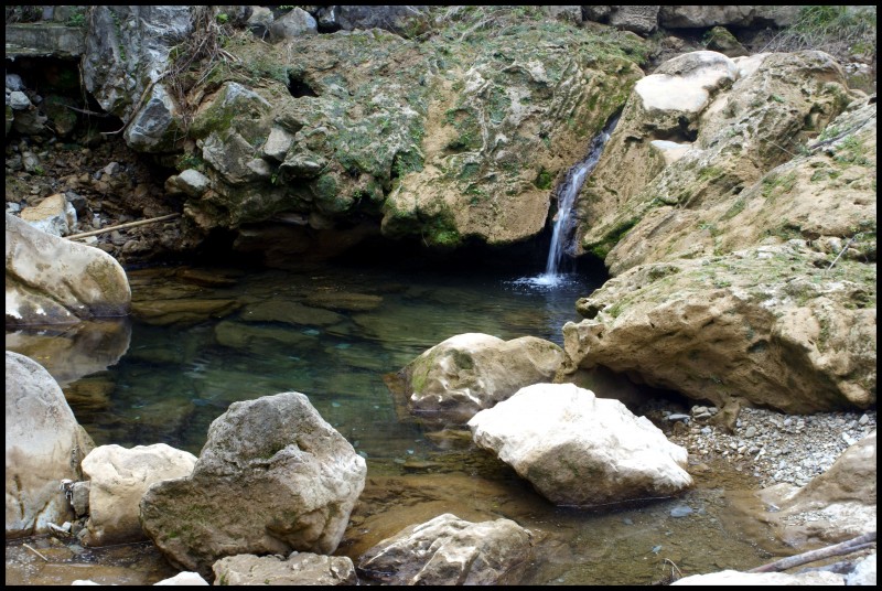 conew_ (133)_conew1.jpg