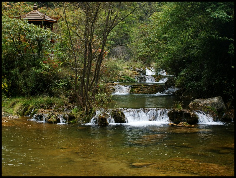conew_ (166)_conew1.jpg