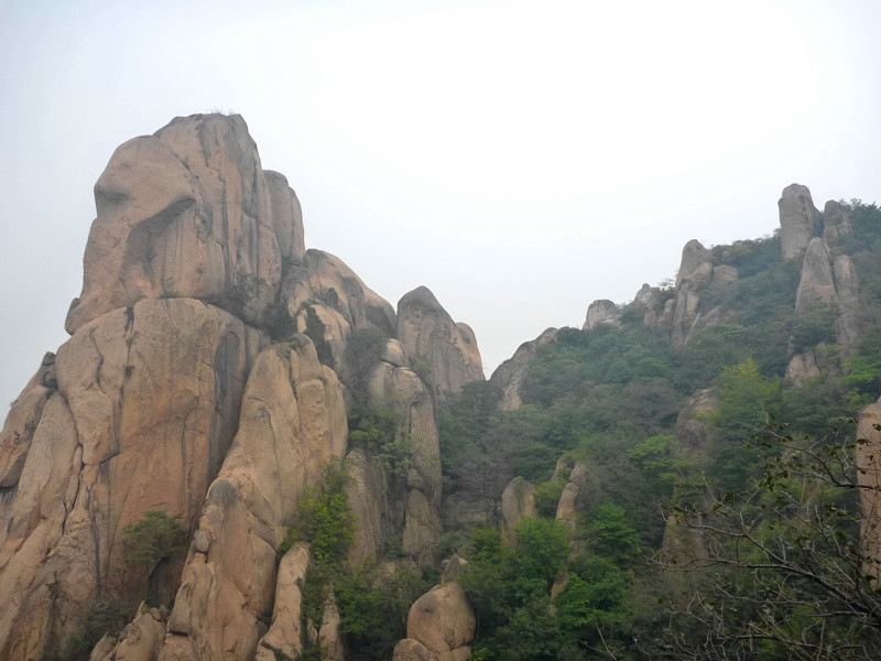 p1120924_.jpg