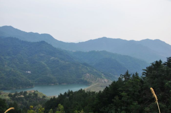 neo_img_dsc_0489.jpg
