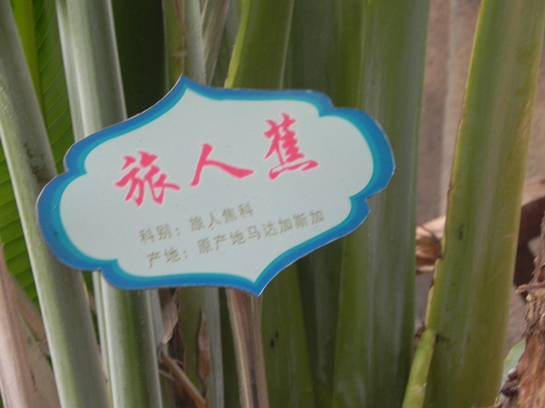 dscn1484_.jpg