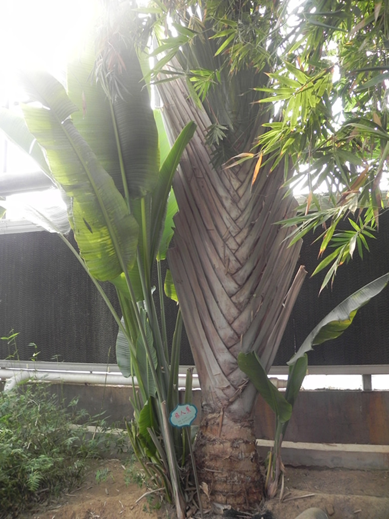 dscn1485_.jpg