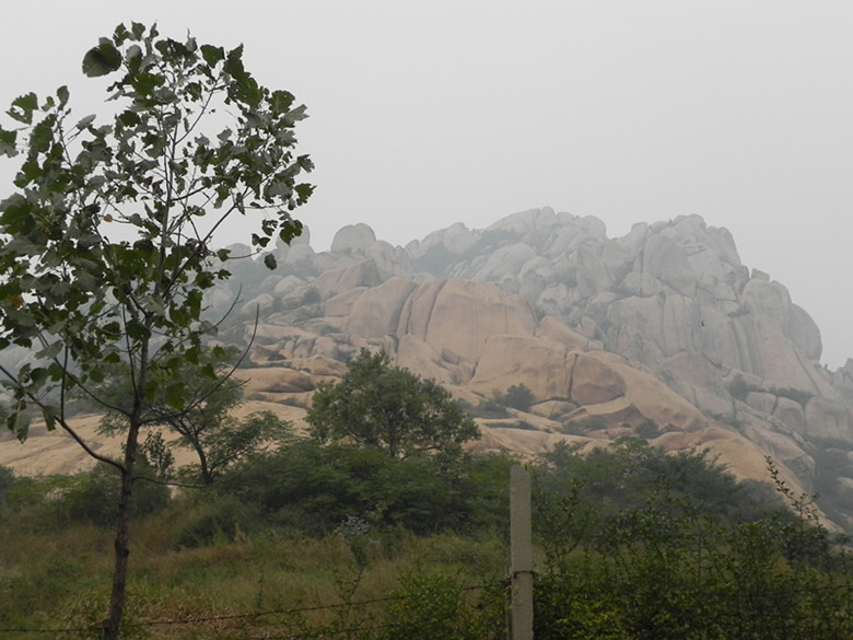 dscn1503_.jpg