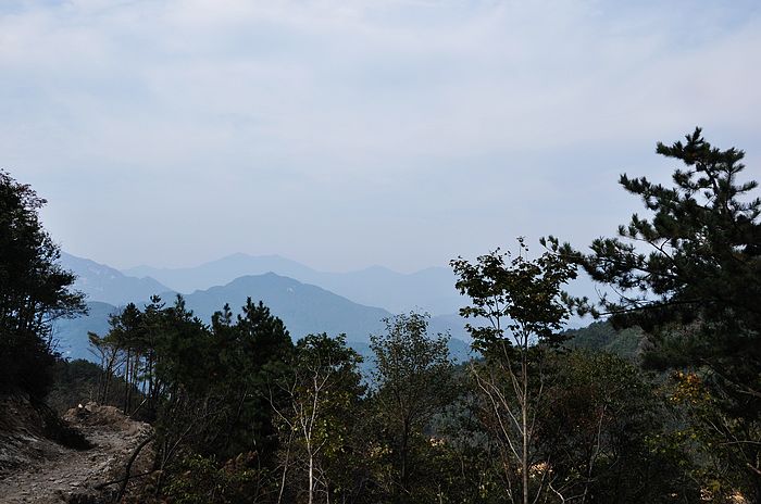 neo_img_dsc_0422.jpg