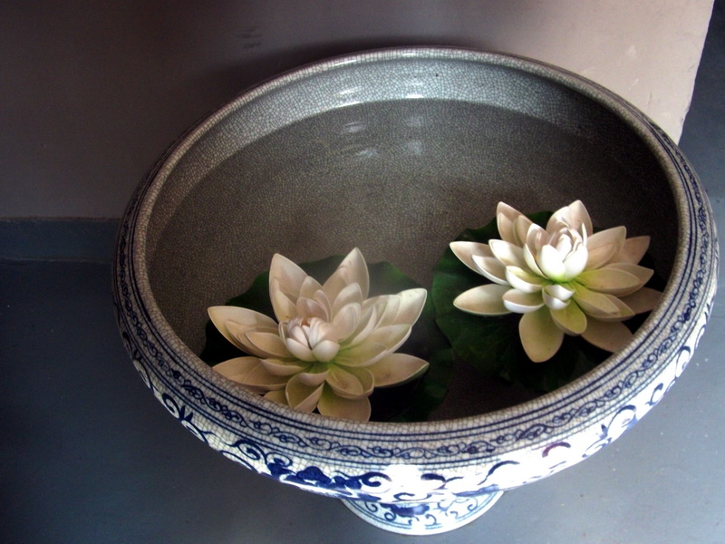 dscf0095.jpg