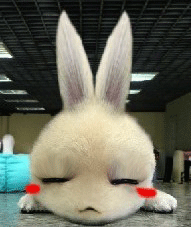 .0.gif