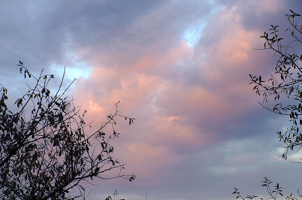 dsc04839.jpg