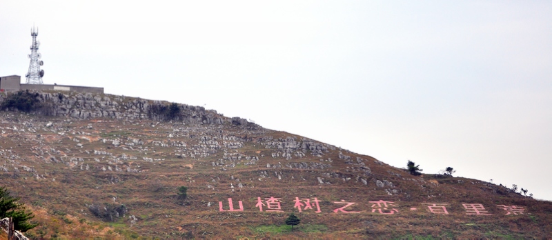 dsc_0173.jpg