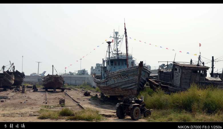 dsc_3964_conew1.jpg