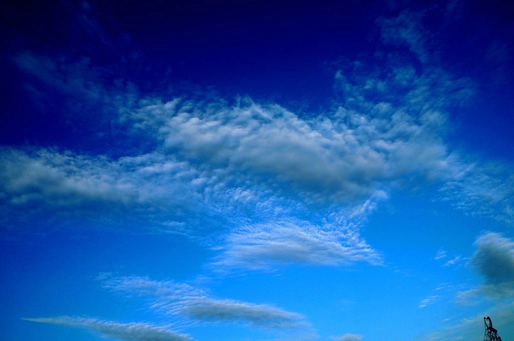 dsc05109.jpg