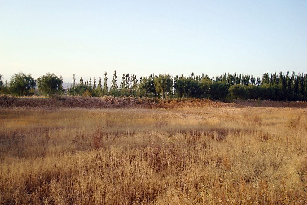 dsc02807.jpg