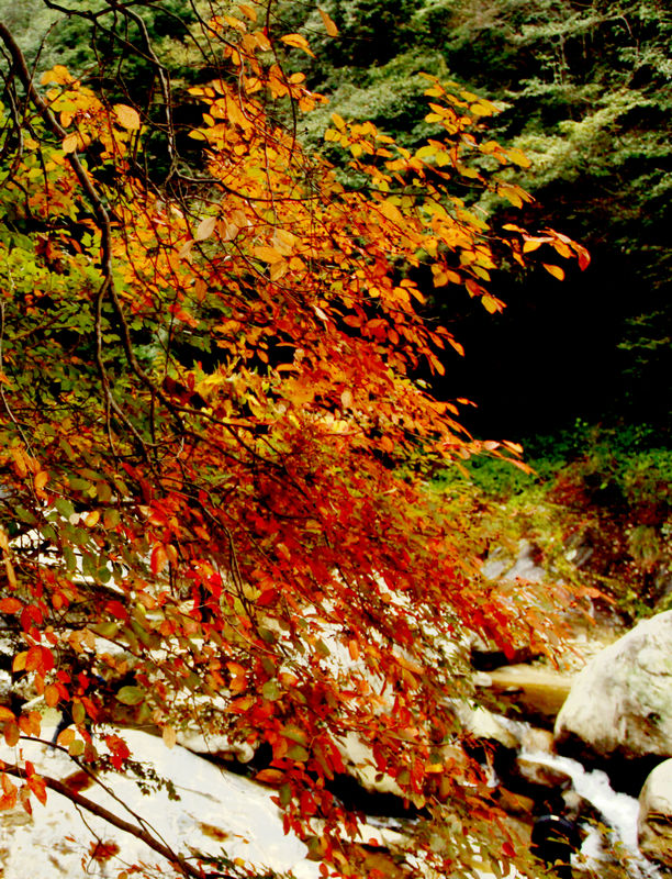 2011103114564467138.jpg