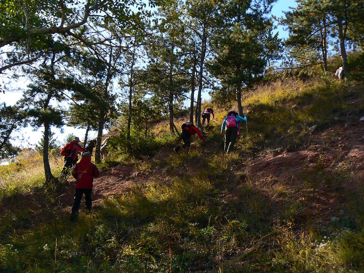 p1290753.jpg