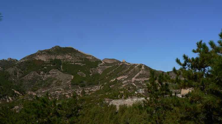 p1290755.jpg