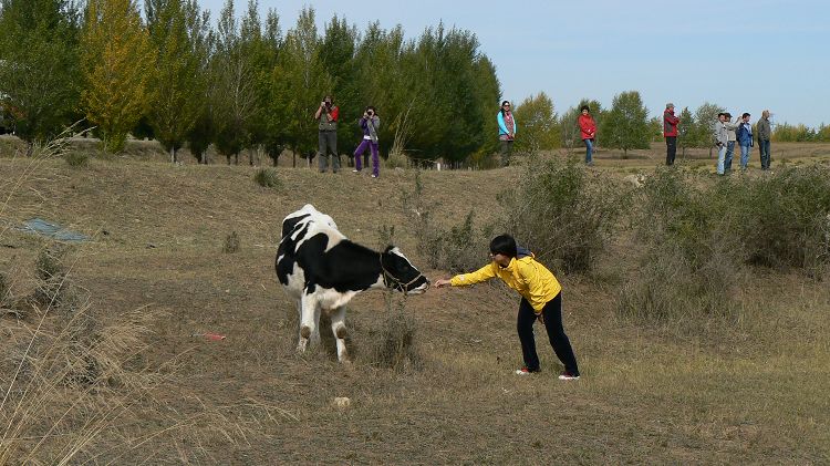 p1290855.jpg