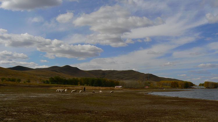 p1290951.jpg
