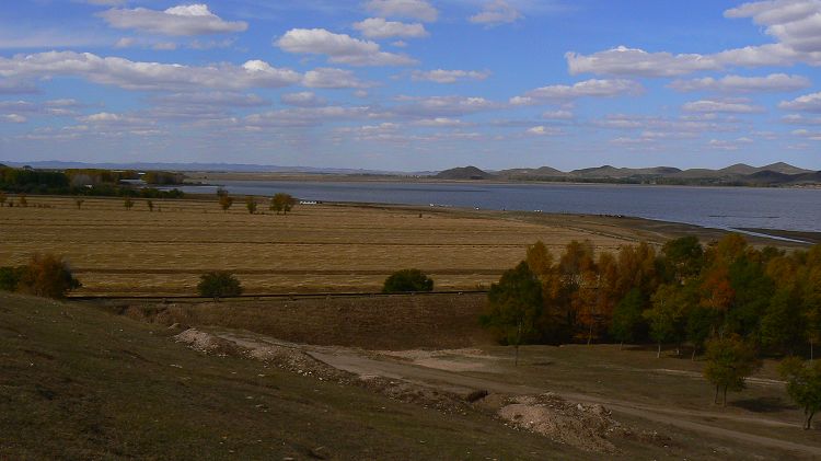p1290979.jpg