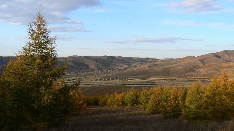 p1300005.jpg