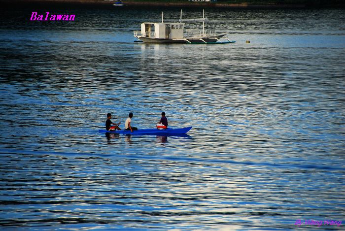 seadaivel晨拍 (12).2.jpg
