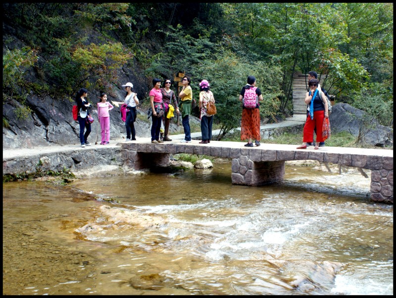 conew_ (186)_conew1.jpg