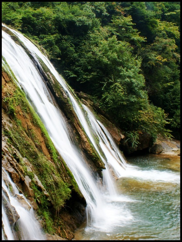 conew_ (223)_conew1.jpg