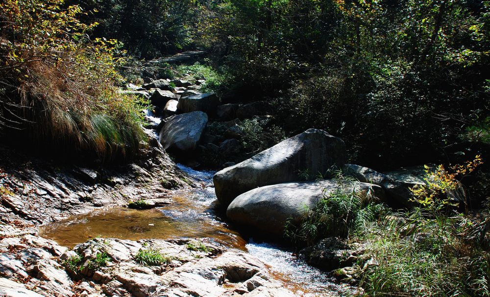 dsc_1801.jpg