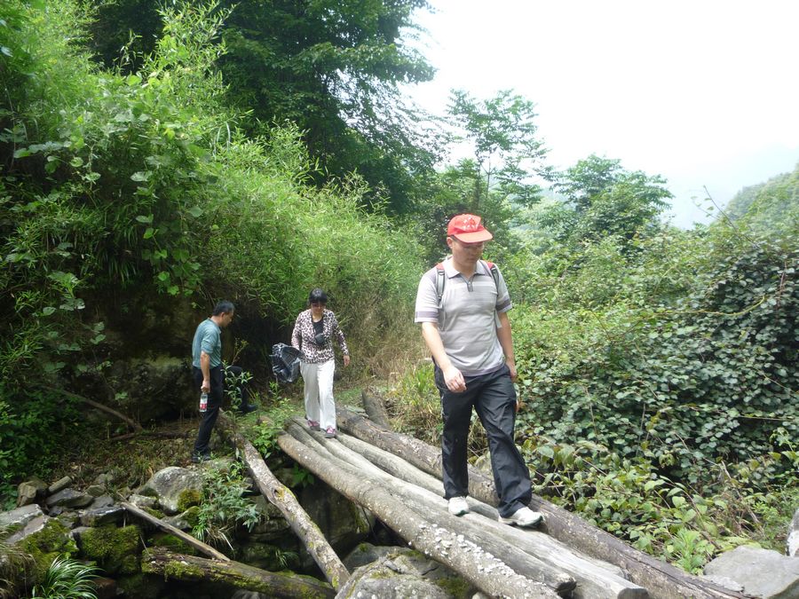 p1130042.jpg