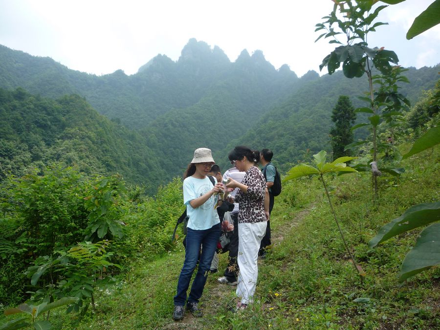 p1130057.jpg