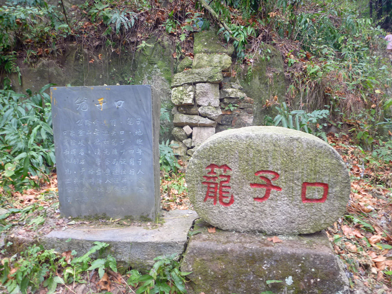 p1120976_.jpg