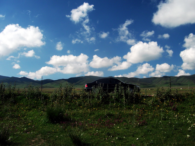 dscf0198.jpg