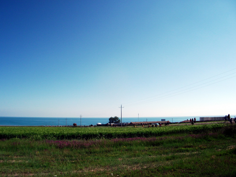 dscf0193.jpg