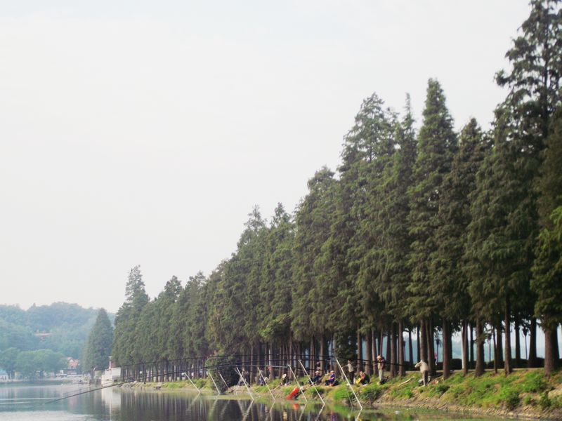 dscf5046.jpg