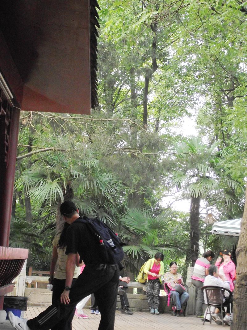 dscf5125kk.jpg