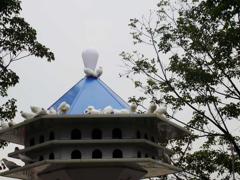 dscf5177.jpg