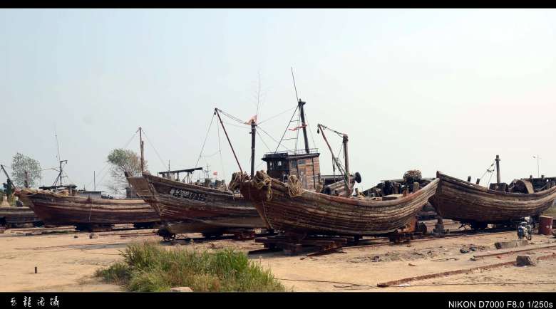 dsc_3966_conew1.jpg