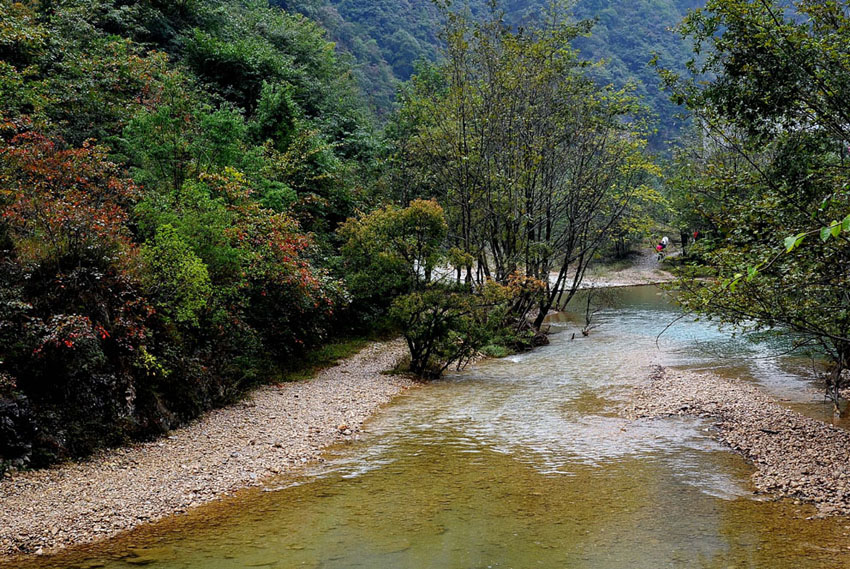 yjw_0297-1.jpg