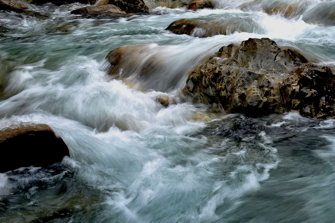 yjw_0518-1.jpg