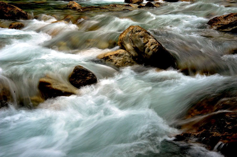 yjw_0531-1.jpg