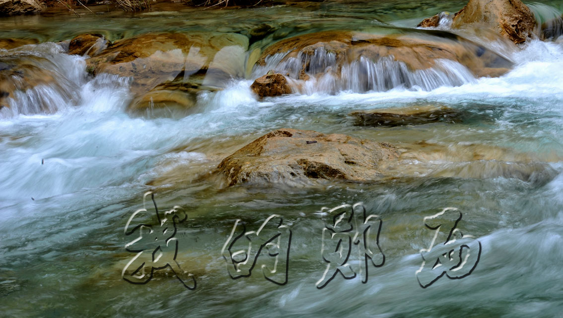 yjw_0541-1.jpg
