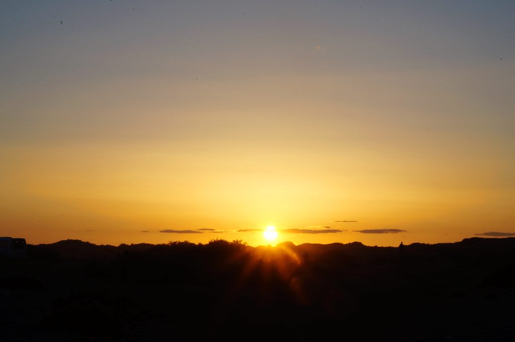 dsc05398.jpg